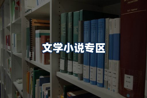 文学小说PDF展示